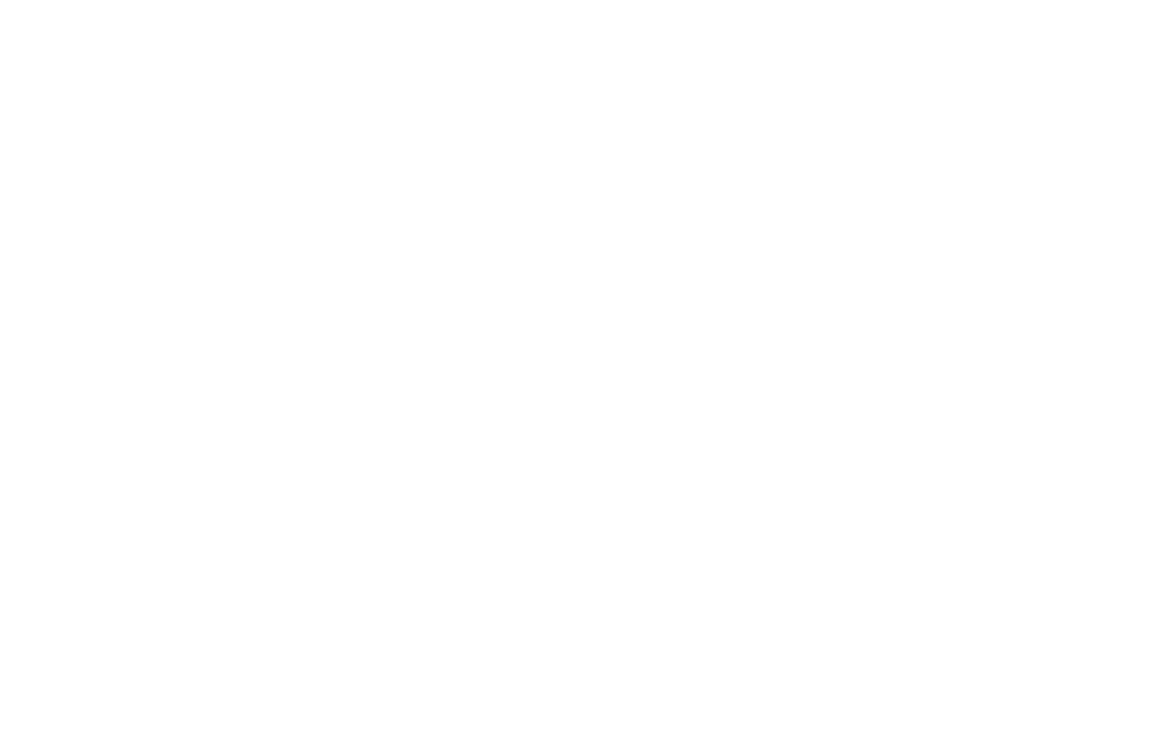 Bingham Commercial Real Estate